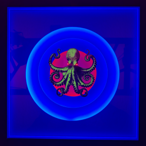 OCTO